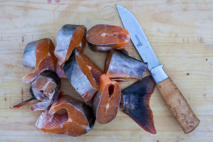 Røya - vakker og smakfull! Hva mer kan en ønske av et yndlingsdyr? (Foto: Børge Damsgård) Røya - vakker og smakfull! Hva mer kan en ønske av et yndlingsdyr? (Foto: Børge Damsgård)
