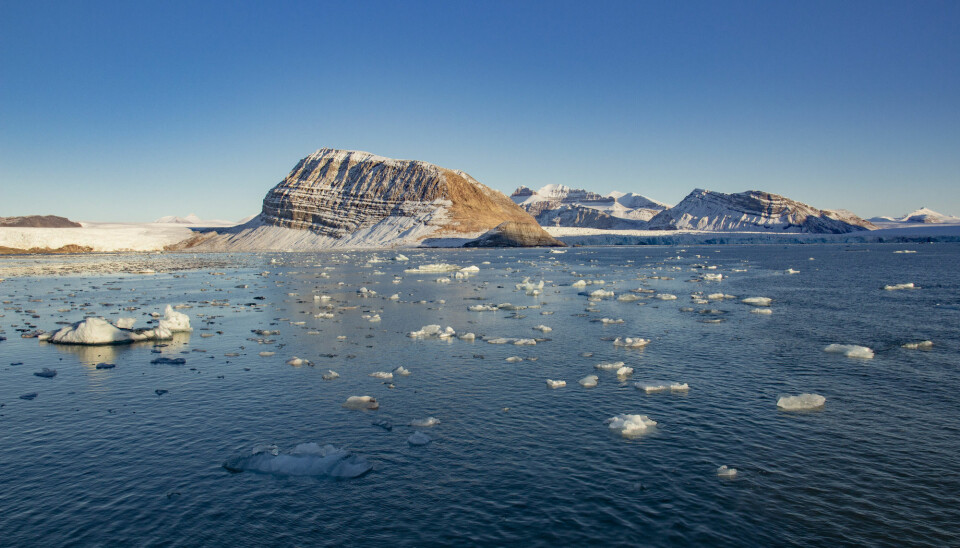 Genene ble funnet i jord og grus ved Kongsfjorden på Svalbard. (Foto: Are Føli / NTB scanpix)