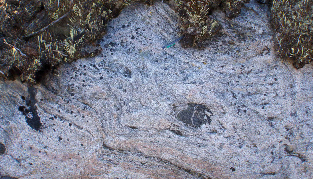 Nærbilde av 2.7 milliarder år gammel jordskorpe ved Nunavik i Canada. Denne steinen ble i sin tid lagd av enda eldre stein - 4.2 milliarder år gammel jordskorpe. (Foto: Martin Simard) Nærbilde av 2.7 milliarder år gammel jordskorpe ved Nunavik i Canada. Denne steinen ble i sin tid lagd av enda eldre stein - 4.2 milliarder år gammel jordskorpe. (Foto: Martin Simard)
