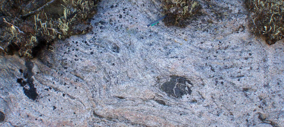 Nærbilde av 2.7 milliarder år gammel jordskorpe ved Nunavik i Canada. Denne steinen ble i sin tid lagd av enda eldre stein - 4.2 milliarder år gammel jordskorpe.  (Foto: Martin Simard)