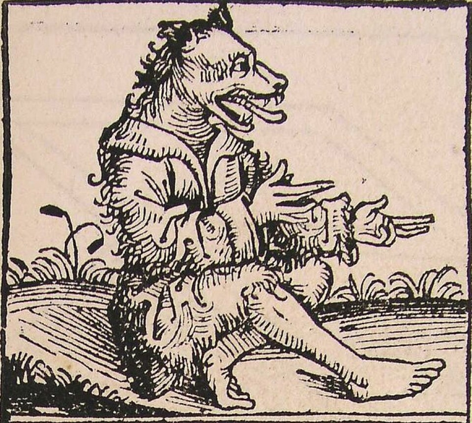 Var det ulveaktige mennesket et slags ikke-menneskelig monster. Bildet er fra Nürnbergkrøniken skrevet av den tyske legen Hartmann Schedel i 1493.