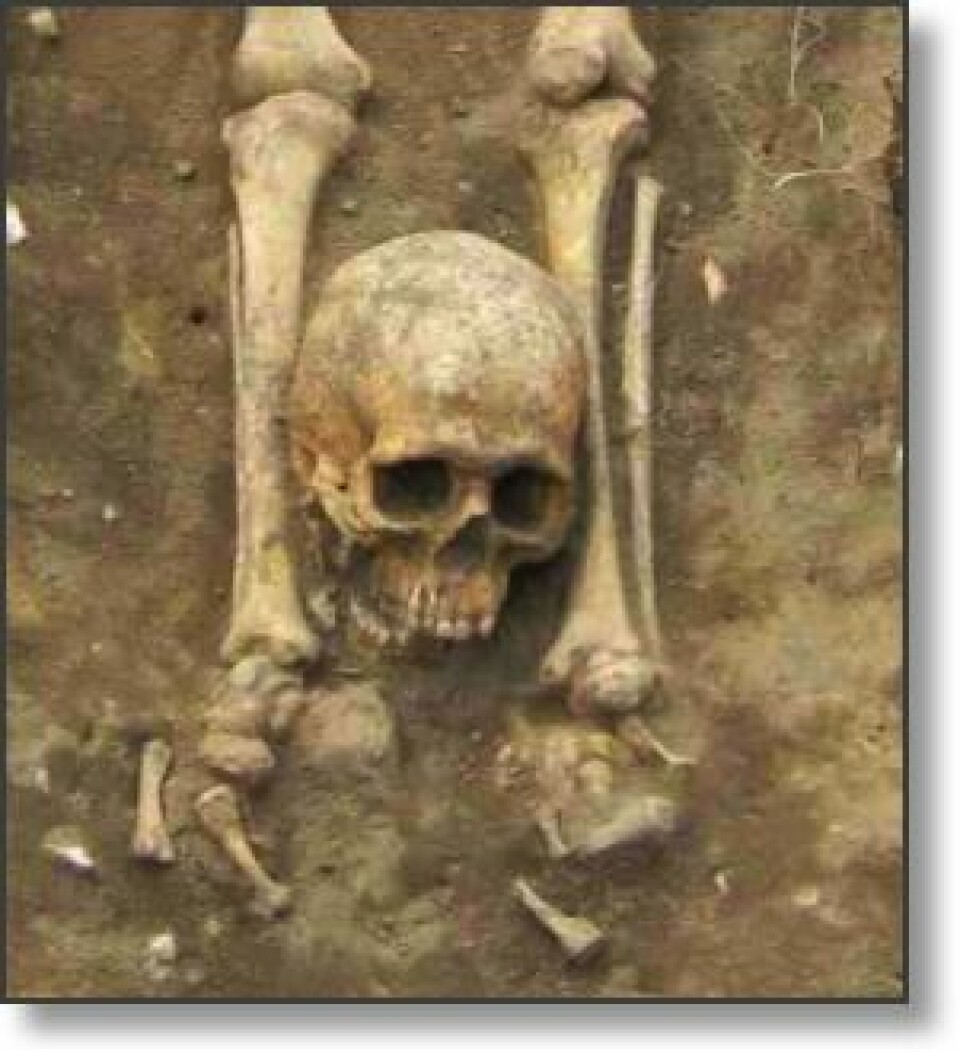 Henrettelsesgravplasser er vanlige flere steder i Europa. Den døde er vanligvis ikke begravd øst-vest. I tillegg kan kroppsdeler være hugget av og plassert andre steder enn der de skal være. Viktigst var det likevel at den døde ikke ble begravd i fellesskap med andre kristne. (Foto: Chris Birks Archaeology)