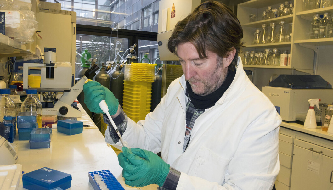 Gareth Sullivan forklarer hvordan forskerne på labben hans produserer lever og redder nesehorn fra å dø ut. Tildelingen fra USA er meget kjærkommen. (Foto: Gunnar Lothe, UiO) Gareth Sullivan forklarer hvordan forskerne på labben hans produserer lever og redder nesehorn fra å dø ut. Tildelingen fra USA er meget kjærkommen. (Foto: Gunnar Lothe, UiO)