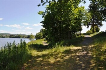 Hakasteinsfaret og Galgebakken i Skien er i dag et idyllisk sted. . (Foto: Skien skolemuseum) Hakasteinsfaret og Galgebakken i Skien er i dag et idyllisk sted. . (Foto: Skien skolemuseum)