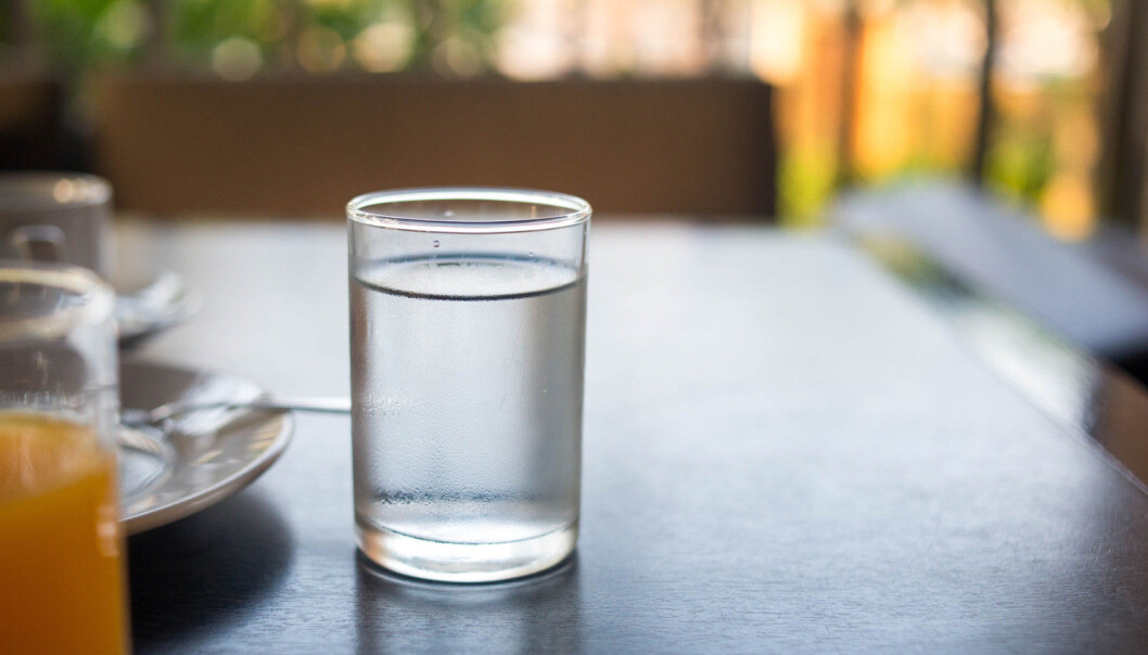 Hvis du vil gå ned i vekt, bør du unngå mat mellom middag og frokost dagen etter. Det gjorde i hvert fall rottene slankere i et nytt forskningsprosjekt ved NTNU. (Foto: Shutterstock / NTB scanpix) Hvis du vil gå ned i vekt, bør du unngå mat mellom middag og frokost dagen etter. Det gjorde i hvert fall rottene slankere i et nytt forskningsprosjekt ved NTNU. (Foto: Shutterstock / NTB scanpix)