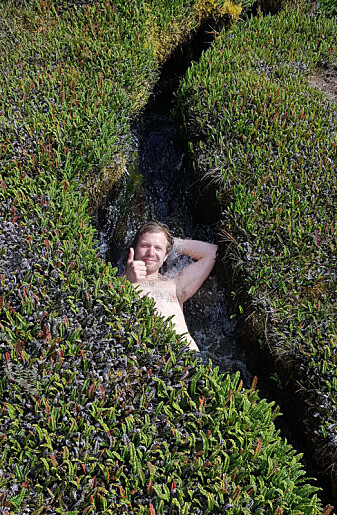 Det var en varm kilde 500 meter fra innløpselva til Lac Bontemps, hvor vi benyttet oss av anledningen til å ta en dukkert. (Foto: Sindre Håvarstein Eldøy, NTNU Vitenskapsmuseet, CC BY-SA 4.0). Det var en varm kilde 500 meter fra innløpselva til Lac Bontemps, hvor vi benyttet oss av anledningen til å ta en dukkert. (Foto: Sindre Håvarstein Eldøy, NTNU Vitenskapsmuseet, CC BY-SA 4.0).