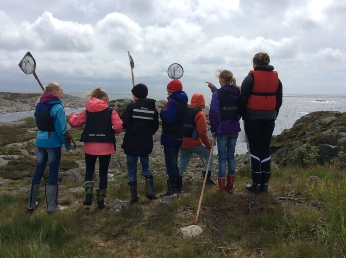 Skattejakt på Randøya: Det polsk-norske teamet ser etter planter og små sjødyr sammen med barn fra Kristiansand. (Foto: SIU) Skattejakt på Randøya: Det polsk-norske teamet ser etter planter og små sjødyr sammen med barn fra Kristiansand. (Foto: SIU)