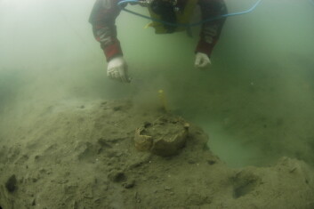 Norsk Maritimt Museum undersøker 9000 år gamle skjelettdeler på sjøbunnen i Vest Agder. (Foto: Pål Nymoen) Norsk Maritimt Museum undersøker 9000 år gamle skjelettdeler på sjøbunnen i Vest Agder. (Foto: Pål Nymoen)