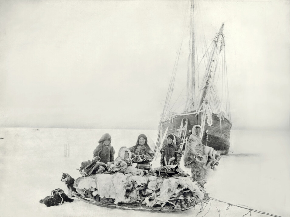 Sommeren 1903 seilte Amundsen og et mannskap på seks fra Oslo med skuta Gjøa. Hovedmålet med ekspedisjonen var jordmagnetiske målinger og å finne den magnetiske nordpol. Det andre målet var å endelig finne ruten gjennom Nordvestpassasjen. Under denne turen studerte Amundsen også inuitfolket netsilikene (selfolket) sitt levesett og samlet inn et stort etnografisk materiale som i dag finnes hos Kulturhistorisk museum i Oslo. (Foto: Roald Amundsen / Kulturhistorisk museum / Universitetet i Oslo)