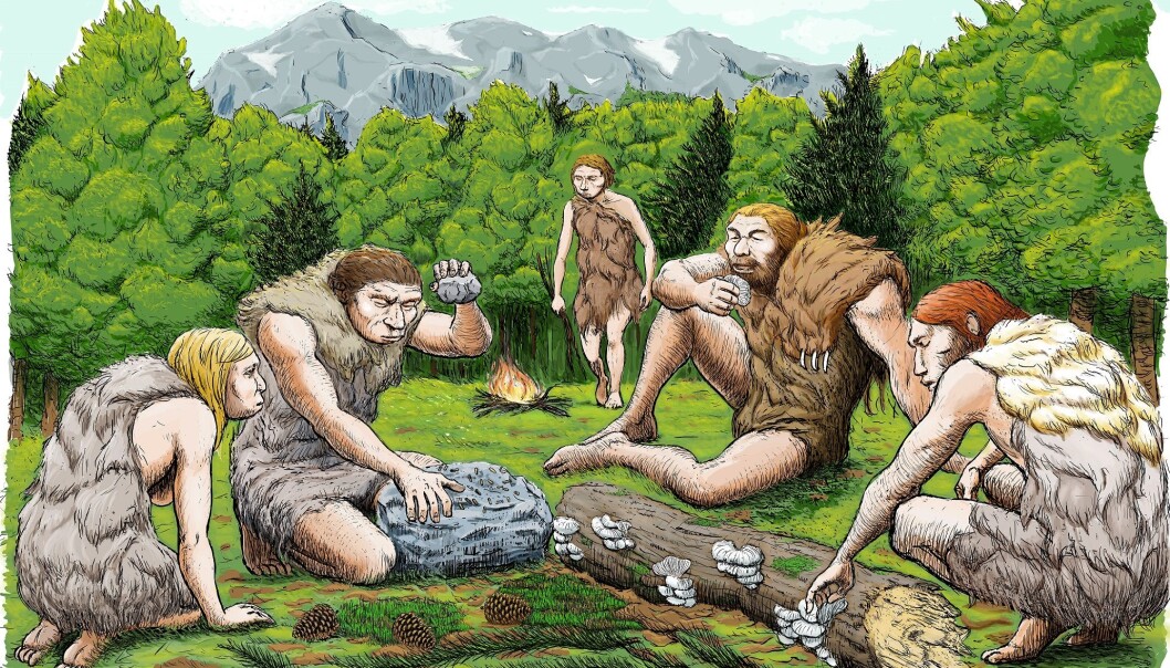 Slik ser en tegner for seg at neandertalerne fra El Sidrón koste seg med sopp, pinjekjerner og mose. (Illustrasjon: Abel Grau, CSIC Communication) Slik ser en tegner for seg at neandertalerne fra El Sidrón koste seg med sopp, pinjekjerner og mose. (Illustrasjon: Abel Grau, CSIC Communication)