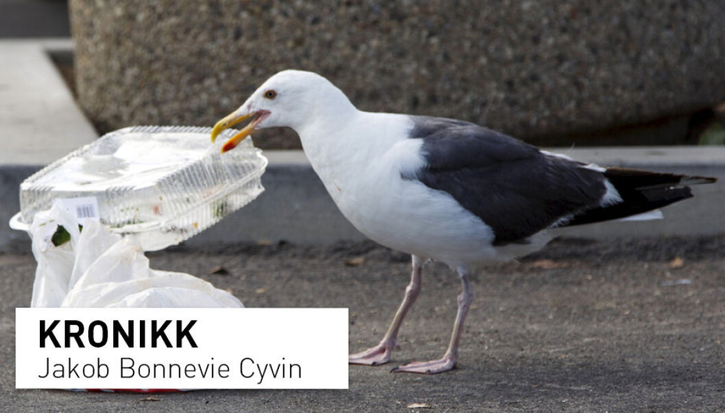 − Vi trenger mer kunnskap om både mengden − og ikke minst effekten − av plast i forskjellige arter i naturen, men vi kan ikke sitte på gjerdet stort lenger og vente. Vi har tilstrekkelig med kunnskap til å vite at vi må vise handling, skriver kronikkforfatteren. (Foto: Patrick T. Fallon / Reuters / NTB scanpix) − Vi trenger mer kunnskap om både mengden − og ikke minst effekten − av plast i forskjellige arter i naturen, men vi kan ikke sitte på gjerdet stort lenger og vente. Vi har tilstrekkelig med kunnskap til å vite at vi må vise handling, skriver kronikkforfatteren. (Foto: Patrick T. Fallon / Reuters / NTB scanpix)