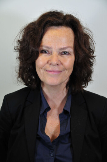 Anne Lise Ellingsæter har ledet utvalgets arbeid med den nye NOU 2017:6 rapporten. (Foto: UIO) Anne Lise Ellingsæter har ledet utvalgets arbeid med den nye NOU 2017:6 rapporten. (Foto: UIO)