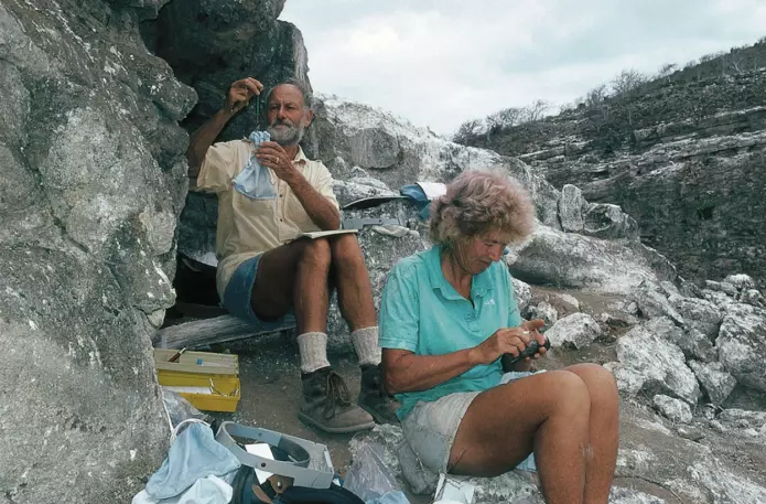 Peter og Rosemary Grant i yngre dager med darwinfinker på Daphne Major. (Foto: Thalia Grant, publisert med tillatelse fra Peter og Rosemary Grant)