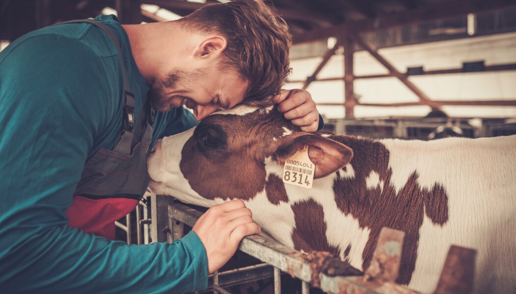 Bedrifter innen naturbaserte næringer kan for eksempel være besøksgårder eller ysteri. En ny studie viser nå hva som hindrer og fremmer etableringer av slike bedrifter. (Illustrasjonsfoto: Nejron Photo / Shutterstock / NTB scanpix) Bedrifter innen naturbaserte næringer kan for eksempel være besøksgårder eller ysteri. En ny studie viser nå hva som hindrer og fremmer etableringer av slike bedrifter. (Illustrasjonsfoto: Nejron Photo / Shutterstock / NTB scanpix)
