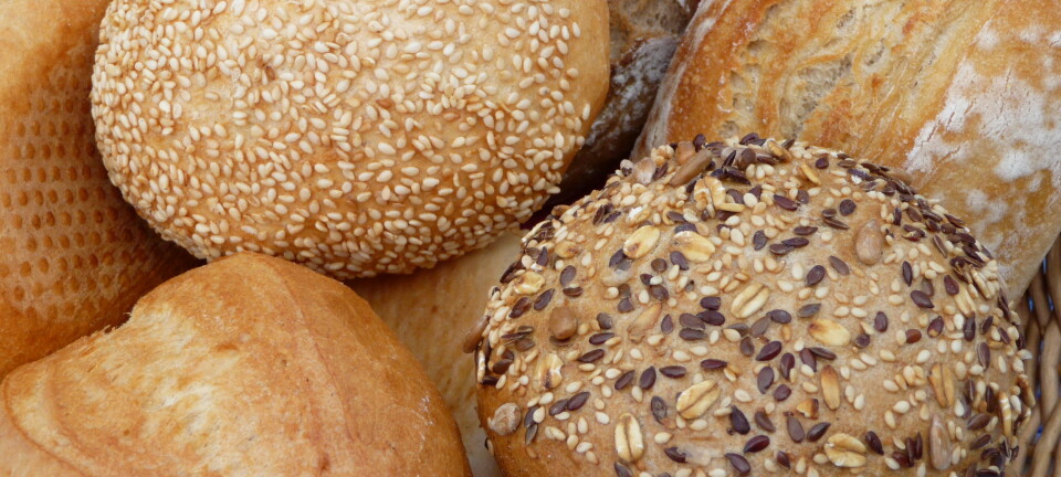En fristende brødkurv, men hva i brødlagingsprosessen er det som slipper ut mest? (Foto: 3268zauber/CC BY-SA 3.0)