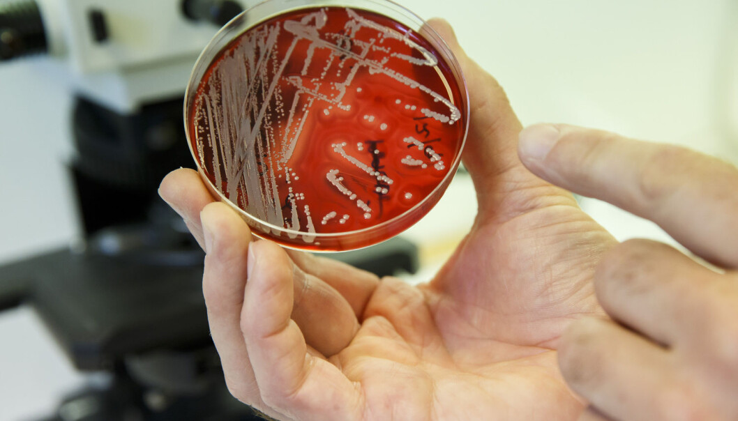 Antibiotika kan påvirke tarmfloraen som igjen kan påvirke kreftpasienters overlevelse. Nyrekreftpasienter overlevde et halvt år lenger om de ikke fikk antibiotika før immunterapien. (Foto: Cornelius Poppe / NTB scanpix) Antibiotika kan påvirke tarmfloraen som igjen kan påvirke kreftpasienters overlevelse. Nyrekreftpasienter overlevde et halvt år lenger om de ikke fikk antibiotika før immunterapien. (Foto: Cornelius Poppe / NTB scanpix)