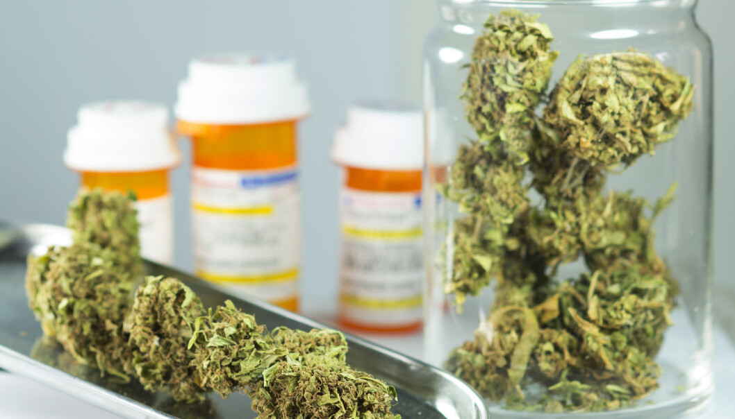 Medisinsk cannabis finnes i utlandet som både mat (for eksempel kake), drikke (for eksempel brus), oljer og planter. Man kan enten innta det eller inhalere gjennom e-sigaretter eller på mer konvensjonelt vis. (Foto: william casey / Shutterstock / NTB scanpix) Medisinsk cannabis finnes i utlandet som både mat (for eksempel kake), drikke (for eksempel brus), oljer og planter. Man kan enten innta det eller inhalere gjennom e-sigaretter eller på mer konvensjonelt vis. (Foto: william casey / Shutterstock / NTB scanpix)