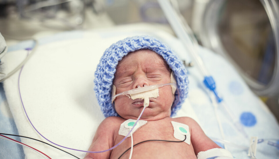 Svært for tidlig fødte barn la raskere på seg etter fødsel da de fikk mer næring enn retningslinjene anbefaler. (Foto: Shutterstock)