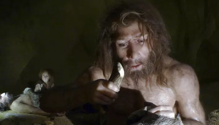 Hva spiste neandertalerne?