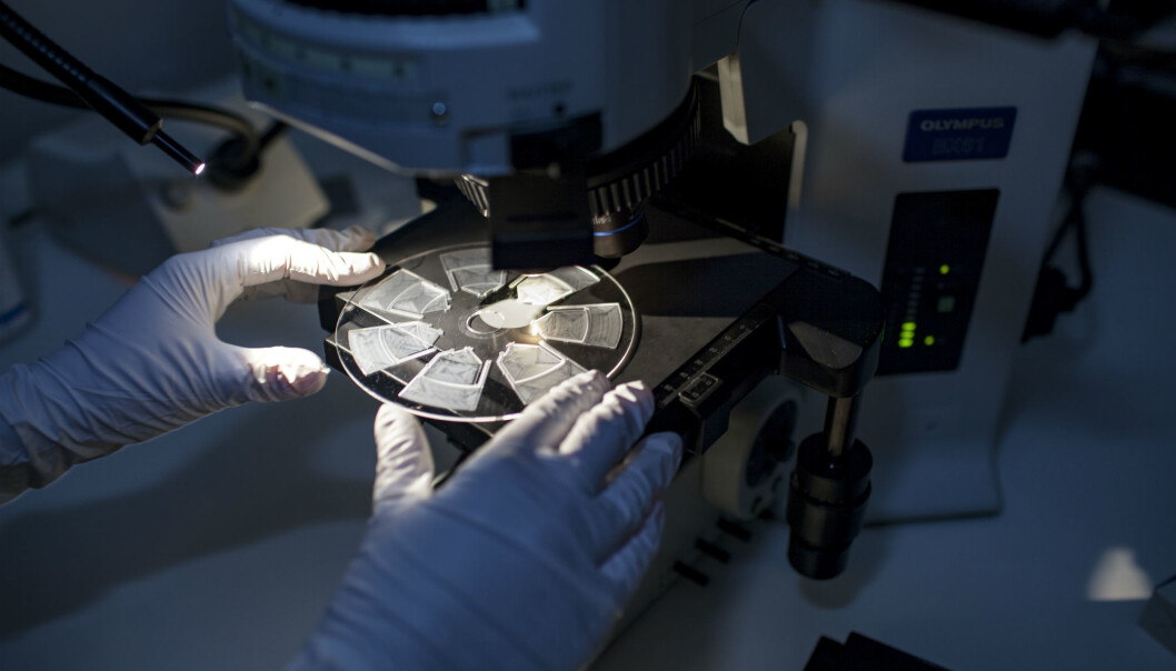 Den nye analysemetoden skal gjøre det enklere for leger å gi pasienter trygg og riktig behandling med antibiotika. (Foto: Remy Eik-Nikolaisen) Den nye analysemetoden skal gjøre det enklere for leger å gi pasienter trygg og riktig behandling med antibiotika. (Foto: Remy Eik-Nikolaisen)