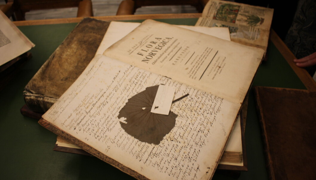 Gamle bøker gir svar om plantebruk i vikingtid, middelalder og fram til i dag. Her er boken Flora Norvegica, som ble utgitt av biskop Johan Ernst Gunnerus på 1700-tallet. (Foto: Dag Inge Danielsen, UiO) Gamle bøker gir svar om plantebruk i vikingtid, middelalder og fram til i dag. Her er boken Flora Norvegica, som ble utgitt av biskop Johan Ernst Gunnerus på 1700-tallet. (Foto: Dag Inge Danielsen, UiO)