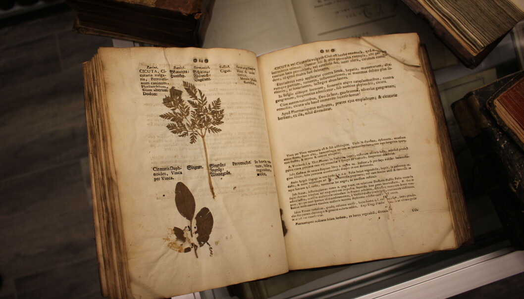 Denne utgaven av <i>Dioscorides</i> ble trykket i Tyskland i 1614 og har avsatt plass, slik at man kunne montere inn pressede planter. (Foto: Dag Inge Danielsen, UiO) Denne utgaven av <i>Dioscorides</i> ble trykket i Tyskland i 1614 og har avsatt plass, slik at man kunne montere inn pressede planter. (Foto: Dag Inge Danielsen, UiO)