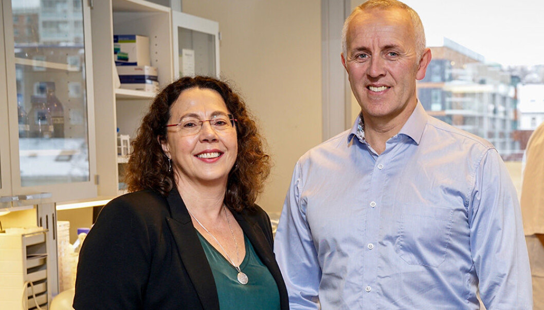 Marit Otterlei og Magnar Bjørås, begge professorer ved NTNU, skal forske på ny antibiotika. (Foto: Geir Otto Johansen) Marit Otterlei og Magnar Bjørås, begge professorer ved NTNU, skal forske på ny antibiotika. (Foto: Geir Otto Johansen)