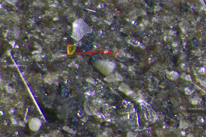 Bildet viser prøven som er hentet på 102 meter fra Fjørtoft, inne i fjordsystemet nær Ålesund. For å forstå størrelsen på plastbiten: 100 µm (100 mikrometer) = 0, 1 millimeter. (Foto: NGU) Bildet viser prøven som er hentet på 102 meter fra Fjørtoft, inne i fjordsystemet nær Ålesund. For å forstå størrelsen på plastbiten: 100 µm (100 mikrometer) = 0, 1 millimeter. (Foto: NGU)