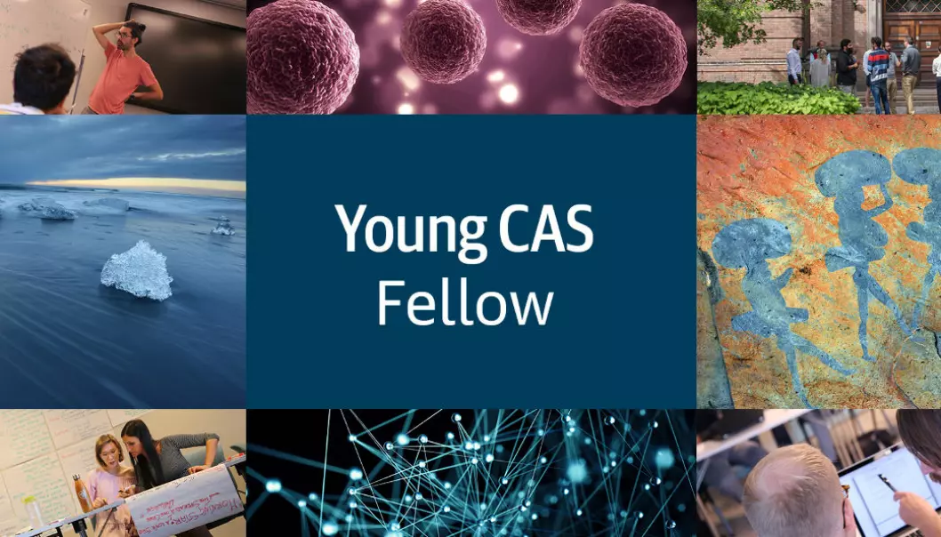 Stipendet skal bidra til at unge forskere får muligheten til å bygge selvstendige nettverk av betydning for den videre forskerkarrieren. (Foto: CAS)