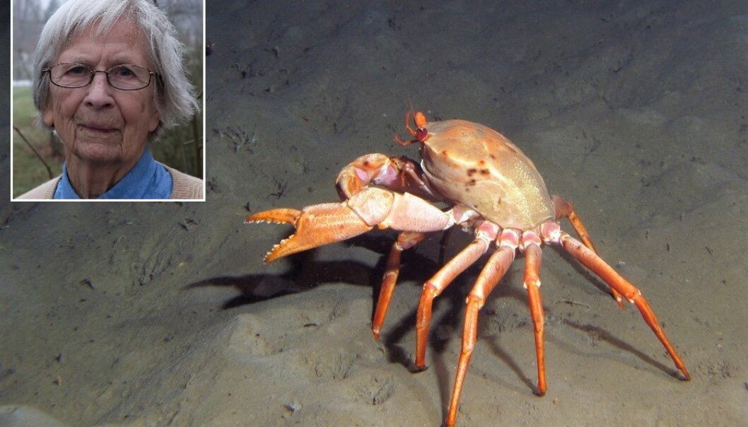 Hedrer 90-åring med krabbenavn