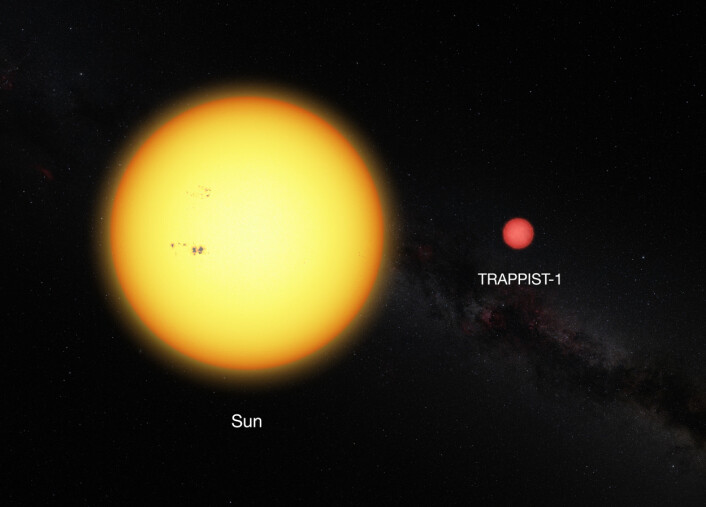 TRAPPIST-1 ved siden av vår egen sol. (Foto: ESO/CC BY 4.0) TRAPPIST-1 ved siden av vår egen sol. (Foto: ESO/CC BY 4.0)