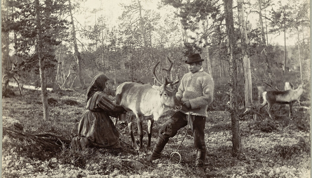 Kvener vert anerkjent som ein nasjonal minoritet i Noreg. Men historia om dei som blir fortalt i skulen gir eit forenkla bilete, seier forskar. (Foto: Ellisif Wessel, Nasjonalbiblioteket) Kvener vert anerkjent som ein nasjonal minoritet i Noreg. Men historia om dei som blir fortalt i skulen gir eit forenkla bilete, seier forskar. (Foto: Ellisif Wessel, Nasjonalbiblioteket)