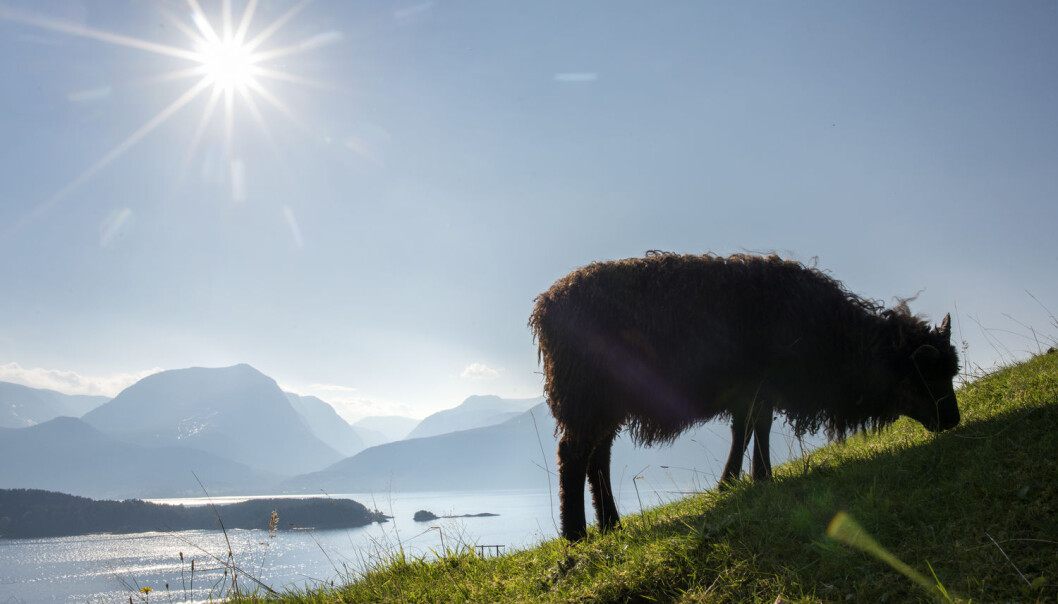 - Målet med dette arbeidet er å etablere en verdinøytral inndeling av landskapstyper, skriver forskerne bak dette debattinnlegget. (Foto: Rune Sævig / BT / NTB scanpix) - Målet med dette arbeidet er å etablere en verdinøytral inndeling av landskapstyper, skriver forskerne bak dette debattinnlegget. (Foto: Rune Sævig / BT / NTB scanpix)