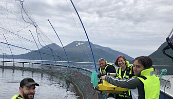 Teamet i arbeid. Fra venstre: Forskerne Magnus Oshaug Pedersen og Terje Bremvåg i Sintef, professor Maarja Kruusmaa og PhD-student Roza Gkliva, begge fra Universitetet i Tallinn. (Foto: Sintef) Teamet i arbeid. Fra venstre: Forskerne Magnus Oshaug Pedersen og Terje Bremvåg i Sintef, professor Maarja Kruusmaa og PhD-student Roza Gkliva, begge fra Universitetet i Tallinn. (Foto: Sintef)