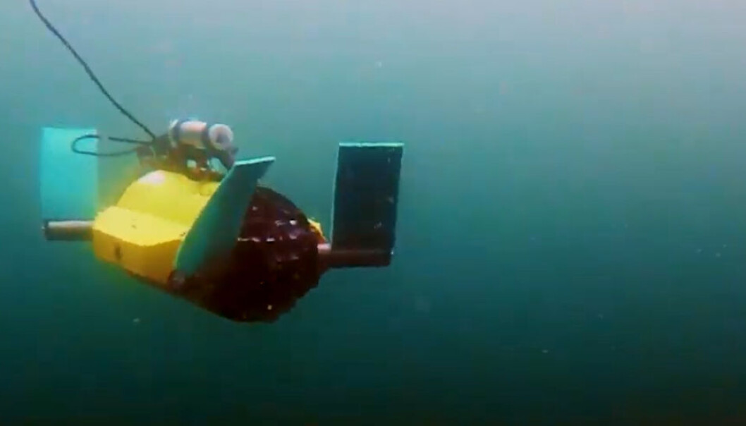 Denne undervannsfarkosten er testet ut i utviklingen av maskiner som skal fungere sammen med fisk. (Foto fra video: Sintef) Denne undervannsfarkosten er testet ut i utviklingen av maskiner som skal fungere sammen med fisk. (Foto fra video: Sintef)