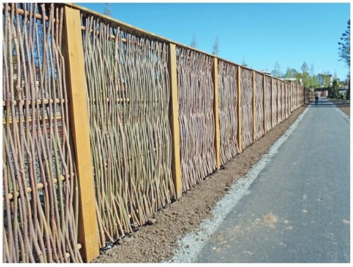 <i>Salix </i>har fortsatt sin bruk i kulturen, for eksempel som flettede gjerder og beplantning i parker og byer. Kunne du sagt hvilken art dette gjerdet er laget av? Forfatterne har studert detaljer i veden og mener akkurat dette gjerdet er flettet sammen av fløyelsvier. (Foto: Eli Fremstad, CC-BY 4.0). <i>Salix </i>har fortsatt sin bruk i kulturen, for eksempel som flettede gjerder og beplantning i parker og byer. Kunne du sagt hvilken art dette gjerdet er laget av? Forfatterne har studert detaljer i veden og mener akkurat dette gjerdet er flettet sammen av fløyelsvier. (Foto: Eli Fremstad, CC-BY 4.0).