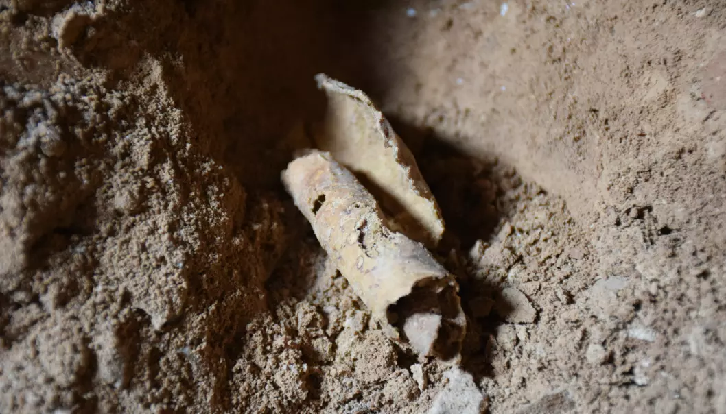 Dødehavsrullene: Arkeologer finner den tolvte hulen