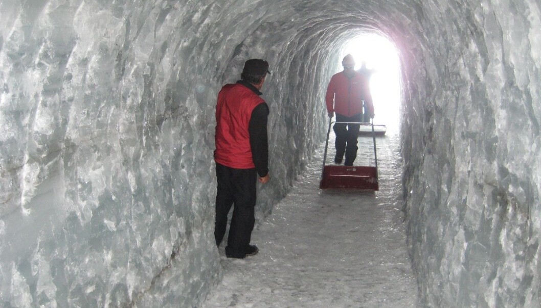 I Juvfonne er det hakket ut en tunnel i den gamle isen. Prøver herfra ble sendt til analysering. (Foto: Rune Strand Ødegård, NTNU) I Juvfonne er det hakket ut en tunnel i den gamle isen. Prøver herfra ble sendt til analysering. (Foto: Rune Strand Ødegård, NTNU)