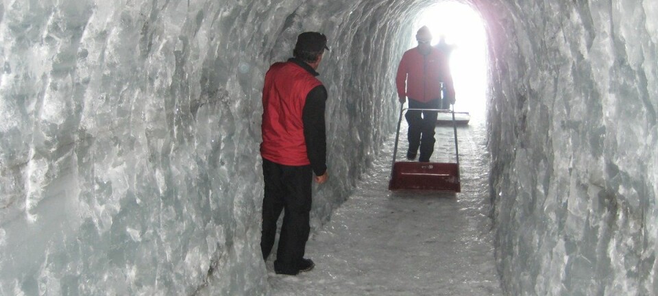 I Juvfonne er det hakket ut en tunnel i den gamle isen. Prøver herfra ble sendt til analysering. (Foto: Rune Strand Ødegård, NTNU)