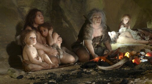 Neandertalerne levde i et mindre kjønnsdelt samfunn. Var det derfor de døde ut?