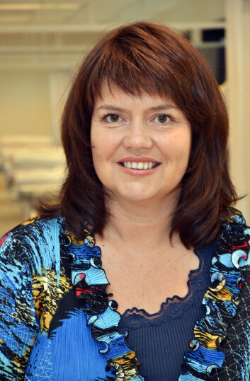 Professor Mariann Fossum ved Institutt for helse- og sykepleievitenskap, Universitetet i Agder. (Foto: UiA) Professor Mariann Fossum ved Institutt for helse- og sykepleievitenskap, Universitetet i Agder. (Foto: UiA)