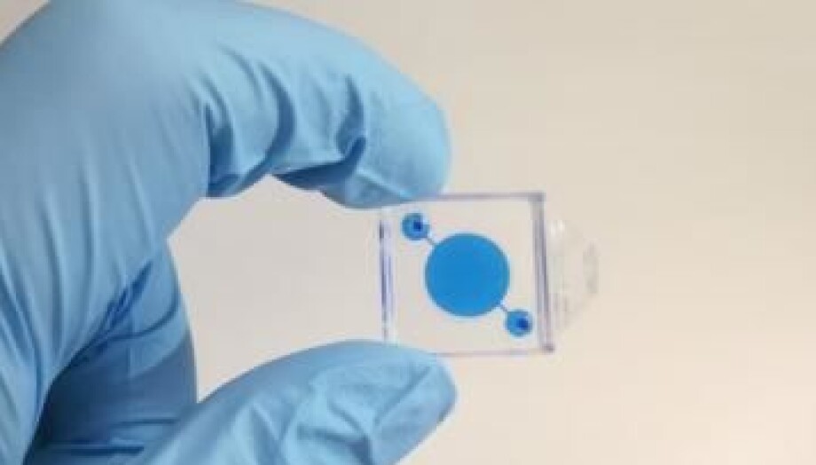 Mikrofysiologiske systemer og «organer på en brikke» kan simulere deler av prosessene i menneskekroppens organer. (Foto: Neil Convery og Nikolaj Gadegaard, University of Glasgow)