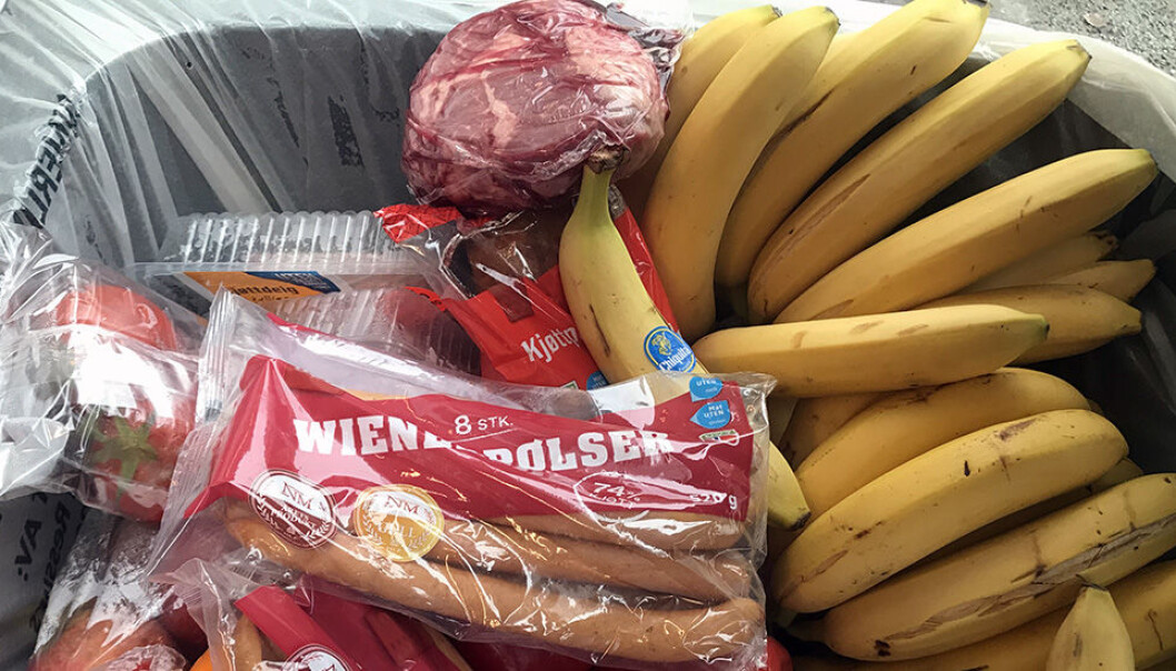 Mye spiselig mat går rett i søpla. Kanskje kan en digital løsning bidra til å minske matsvinnet. (Foto: Idun Haugan) Mye spiselig mat går rett i søpla. Kanskje kan en digital løsning bidra til å minske matsvinnet. (Foto: Idun Haugan)