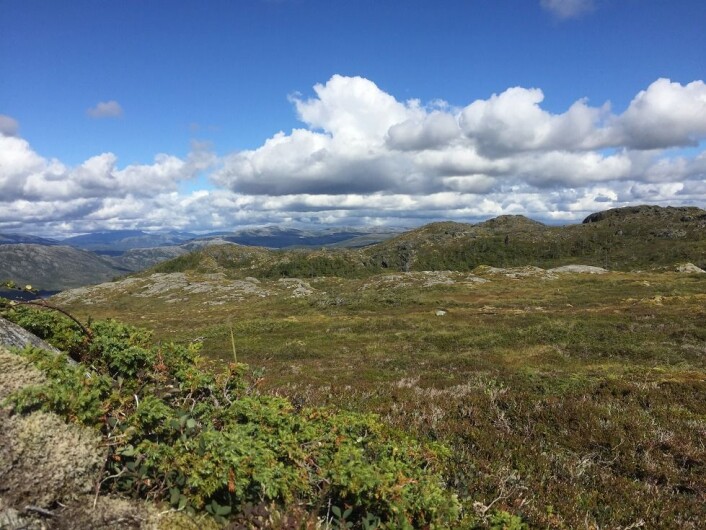 Ser du det samiske landskapet? Ja? Nei? Hvis nei, betyr det at du kan være sikker på at det ikke er et samisk landskap? Foto: Håkon Hermanstrand Ser du det samiske landskapet? Ja? Nei? Hvis nei, betyr det at du kan være sikker på at det ikke er et samisk landskap? Foto: Håkon Hermanstrand