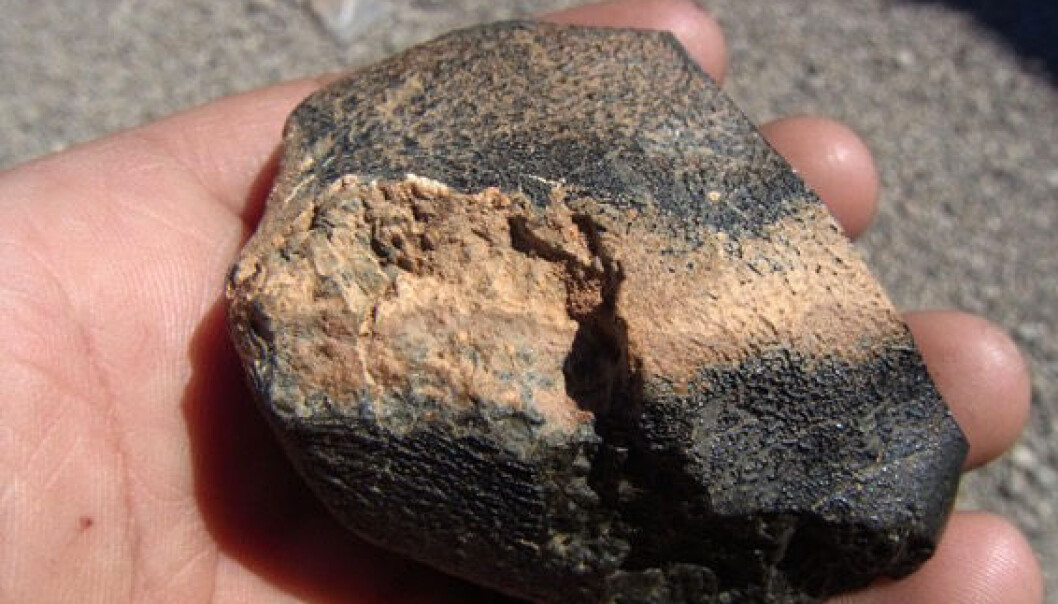 En liten stein funnet i Algerie har vist seg å stamme fra en vulkan på Mars. (Foto: Mohammed Hmani) En liten stein funnet i Algerie har vist seg å stamme fra en vulkan på Mars. (Foto: Mohammed Hmani)