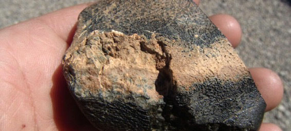 En liten stein funnet i Algerie har vist seg å stamme fra en vulkan på Mars.  (Foto: Mohammed Hmani)