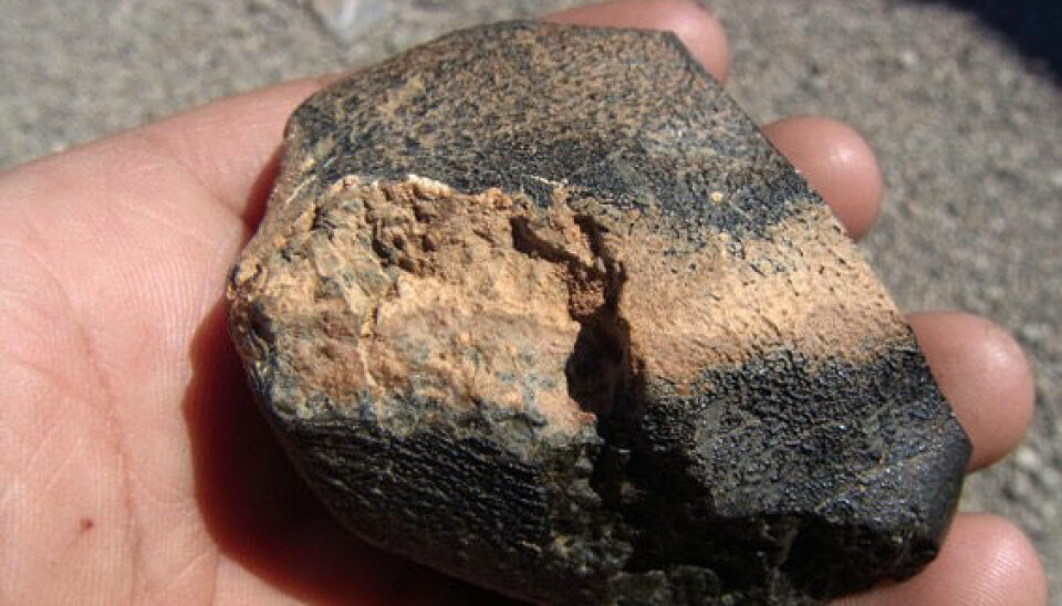 En liten stein funnet i Algerie har vist seg å stamme fra en vulkan på Mars.  (Foto: Mohammed Hmani)