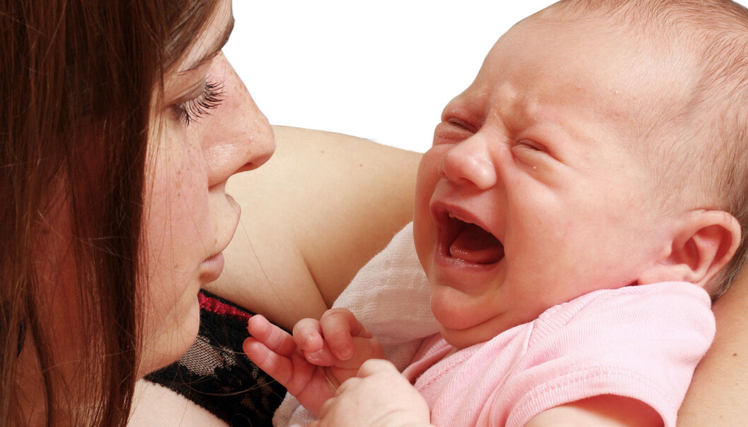 Ved kolikk så skriker babyen mange timer om dagen. Forskerne vet ikke helt hvorfor. (Foto: Shutterstock) Ved kolikk så skriker babyen mange timer om dagen. Forskerne vet ikke helt hvorfor. (Foto: Shutterstock)
