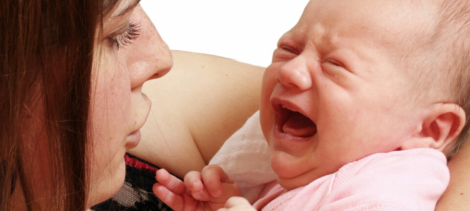 Ved kolikk så skriker babyen mange timer om dagen. Forskerne vet ikke helt hvorfor. (Foto: Shutterstock)