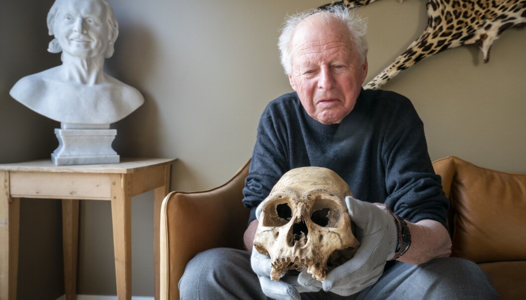 Thor Heyerdahl jr. (80) med en hodeskalle fra Påskeøya som faren hans, Thor Heyerdahl, tok med seg på 1950-tallet. Hodeskallen stammer fra et menneske som levde en gang mellom år 1400 og 1800. Nå skal hodeskallen og andre klenodier fra øya leveres tilbake til det lokale museet. I bakgrunnen ser man en byste av Thor Heyerdahl. (Foto: Heiko Junge / NTB scanpix) Thor Heyerdahl jr. (80) med en hodeskalle fra Påskeøya som faren hans, Thor Heyerdahl, tok med seg på 1950-tallet. Hodeskallen stammer fra et menneske som levde en gang mellom år 1400 og 1800. Nå skal hodeskallen og andre klenodier fra øya leveres tilbake til det lokale museet. I bakgrunnen ser man en byste av Thor Heyerdahl. (Foto: Heiko Junge / NTB scanpix)